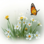 Questo puoi vederlo: una fioritura di ciliegi che copre un intero paesino