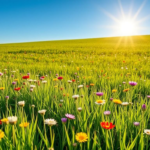 Questo puoi vederlo: un prato fiorito illuminato dal sole primaverile
