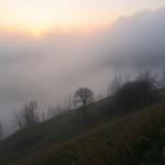 Questo puoi vederlo: una vallata avvolta nella nebbia del mattino