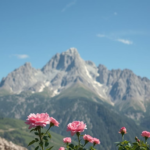 Questo puoi vederlo: l’alba che tinge le montagne di rosa